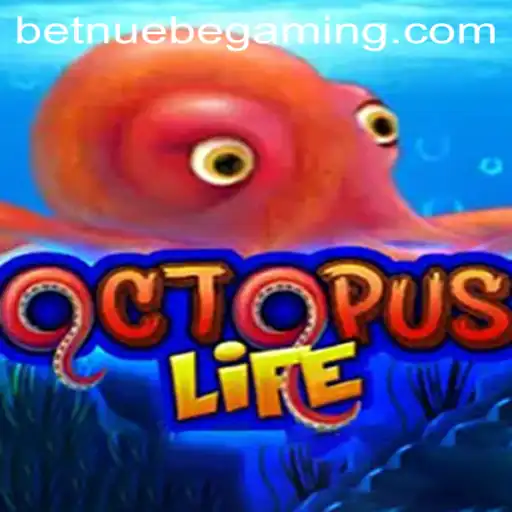 The Exciting World of OctopusLife: A New Adventure with NUEBE Gaming